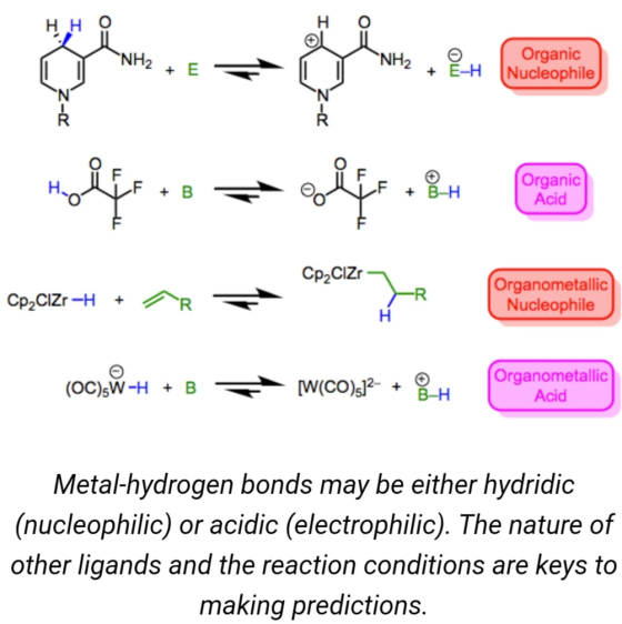 HHO NY NH2 + E = NH2 + E-H NHA 6. Organic Nucleophile 2-z F + B_H Organic Acid Molift.. z olj. Bu 0.2*• 2 = a.com Cp2CIzr- Cp