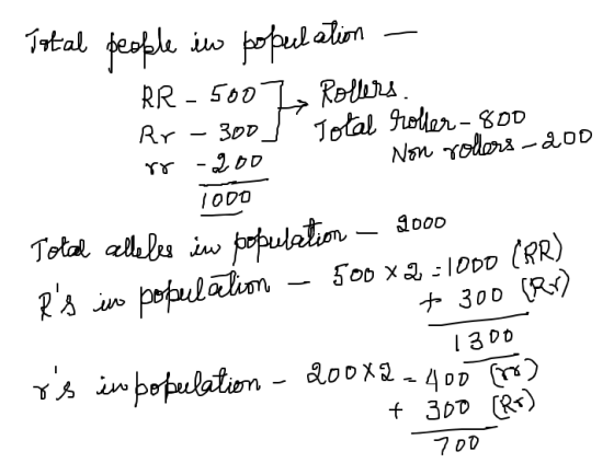 Total people in population - RR - 500 Z Rollers. Rr-300, Total roller - 800 rr -200 Non rolors-200 1000 Total alleles in popu