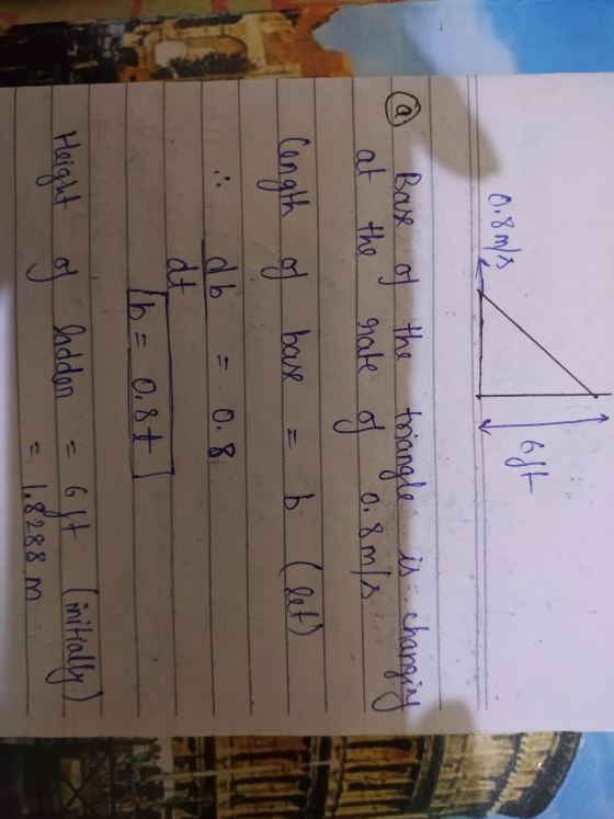 0.8 m/ @ Base of the triangle is changing at the rate of 0.8m/s Cength of base = b (let) db = 0.8 at Tb = 0.87 Height of ladd