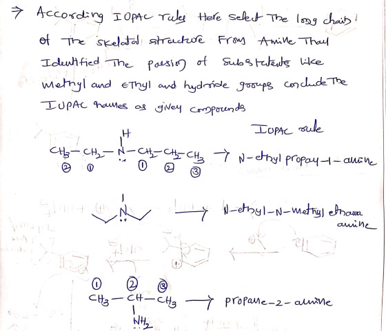 Ť According I OPAC rules Here select. The long chais! of the skelatal structure Frous Amille That Identified. The presion of