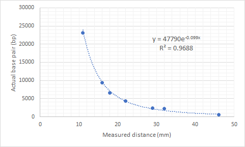 30000 25000 20000 y = 47790e-0.099x R= 0.9688 Actual base pair (bp) 15000 10000 5000 0 10 40 50 20 30 Measured distance (mm)