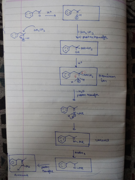 NH₂ CH3 O NH₂ CH3 22) ploton transfer NUCHS Oxoniem con 1-H₂O proton tranfer Home Name omune NaB + -proton transfre N-Me amin