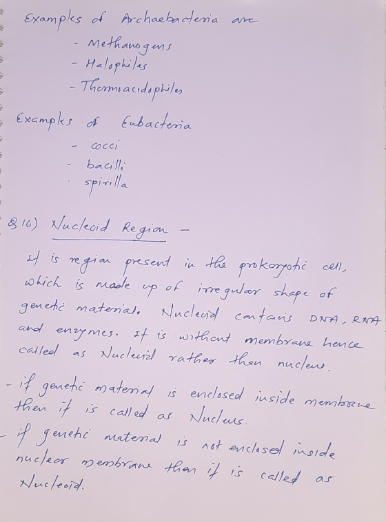 Examples of Archaebacteria are - Methanogens - Halophiles - Thermoacidophiles Examples of Eubacteria - cocci - bacilli spiril