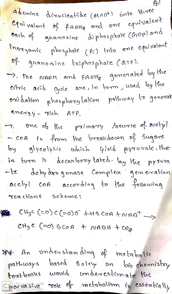valent ie. adenine dinucleatide (MAD) into three equivalent of RADHA and one equiva each of guanosine diphosphate (GPP) norga