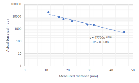 Actual base pair (bp) y=47790e 0.09% R = 0.9688 1 10 40 50 20 30 Measured distance (mm)