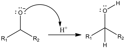 ÖZH
H+
R
CR
H