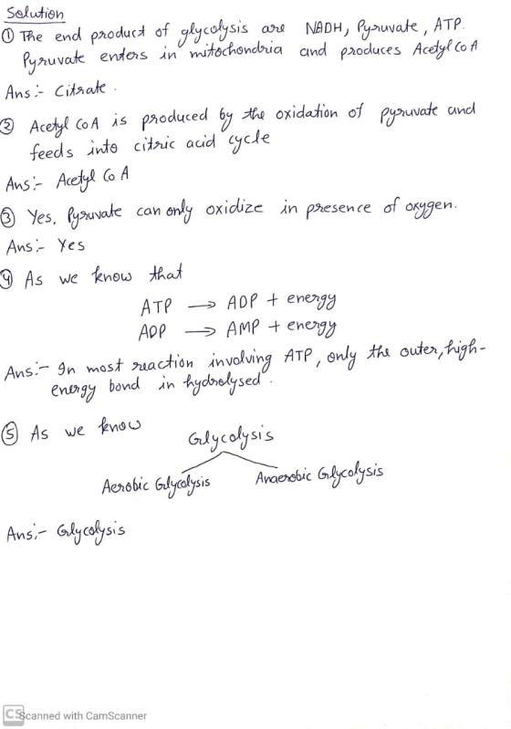 solution 0 The end product of glycolysis are NADH, Pyruvate, ATP. Pyruvate enters in mitochondria and produces Acetyl co A An