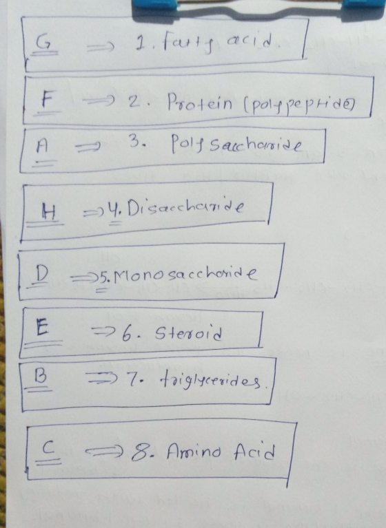 G - 1. Party acid. I l 2. Protein (polypeptide 3. Polf saccharide TA H 4. Disaccharide D 5. Monosaccharide - 6. Steroid = 7.