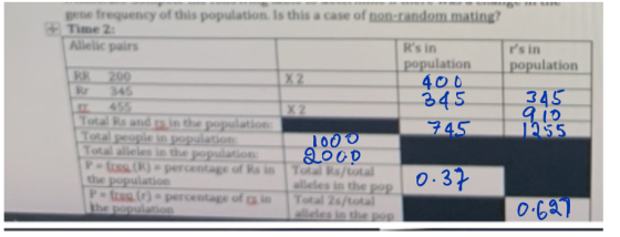 rs in population ene frequency of this population. Is this a case of non-random mating? Time 2: Allelic pairs Rs in populat