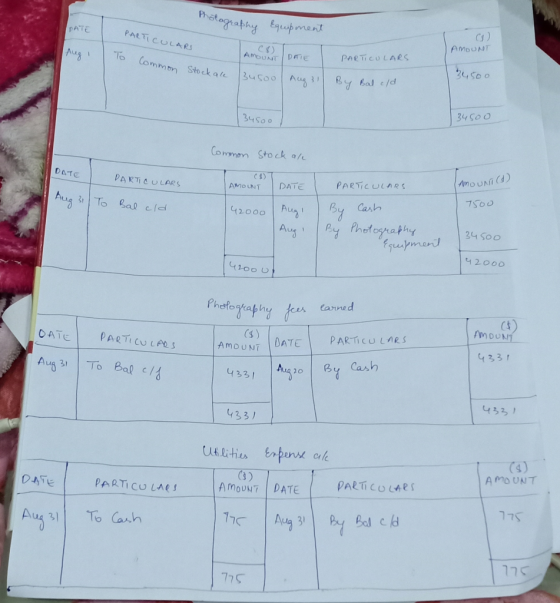 Photography Equipment DATE PARTICULARS 0 C$ AMOUNT Aug 1 To AMOUNTDATIE DATIEI PARTICULARS Common Common Stockale Busool Aug