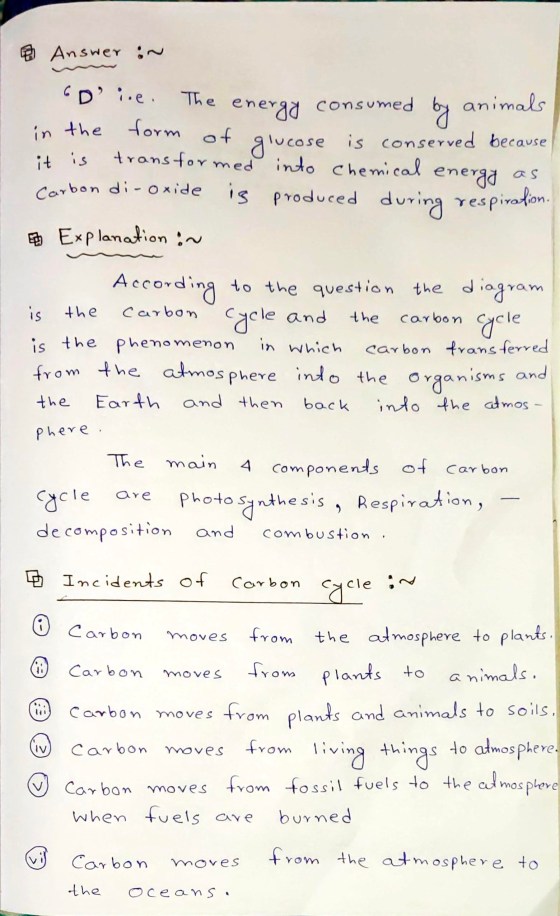 Sume im Answer in GD i.e. The energy consumed by animals in the form of glucose is conserved because it is transformed into