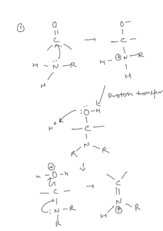 ON-R Proton transfer O-UZ- El í O-V-? -> - RAR s 09, 2-d. @its i u