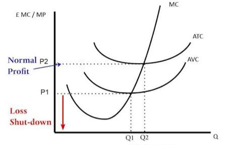 MC EMC / MP ATC AVC Normal P2 Profit P1 Loss Shut-down QI Q2