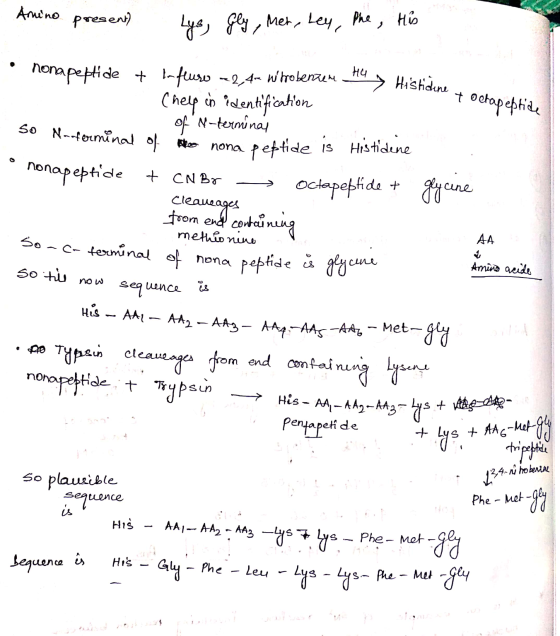 Amino present) Lys, Gly, Mer, Ley, the his hobenzem HO Hely Histidine + octapeptide nond nonapeptide + l-flure 2,4 uitrobenze