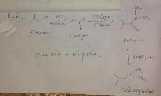Cutz Route 2 t ot pee Onidation dAlcohol to 2) (13), NH 20 Amine IN CH2 andehyove enamine This soure is not possible NABH₂ C