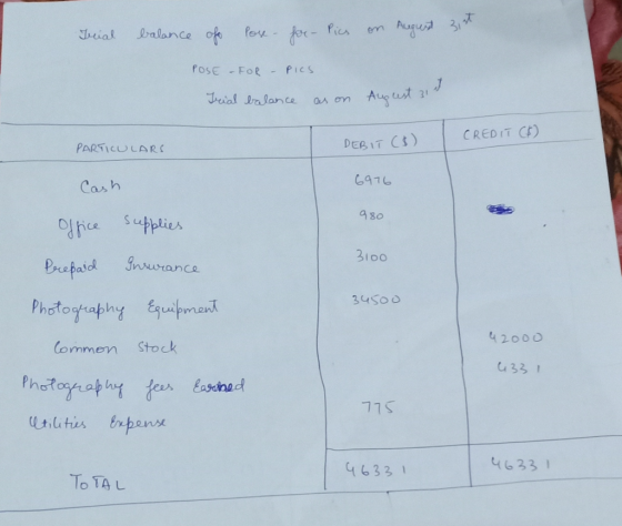 Irial balance of Pos- for- Pics on August 31st POSE - FOR – PICS. Trial balance as on August 31 PARTICULARS DEBIT ($) I CREDI