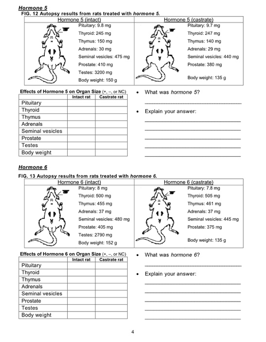 Hormone 5 FIG. 12 Autopsy results from rats treated with hormone 5. Hormone 5 intact) Pituitary: 9.8 mg Thyroid: 245 mg Thymu