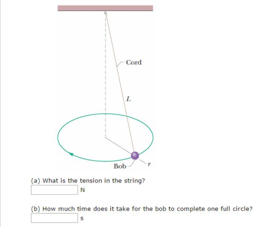 Cord Bob (a) What is the tension in the string? (b) How much time does it take for the bob to complete one full circle?