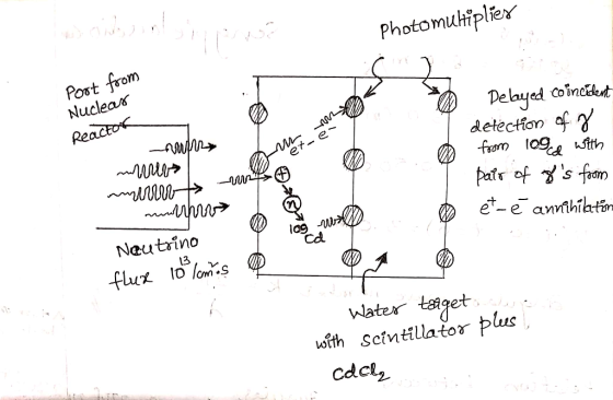 Photomutiplier Post from Nucleas elayedonct detector) of Nautrino l09 e-e an Water taget cdcl