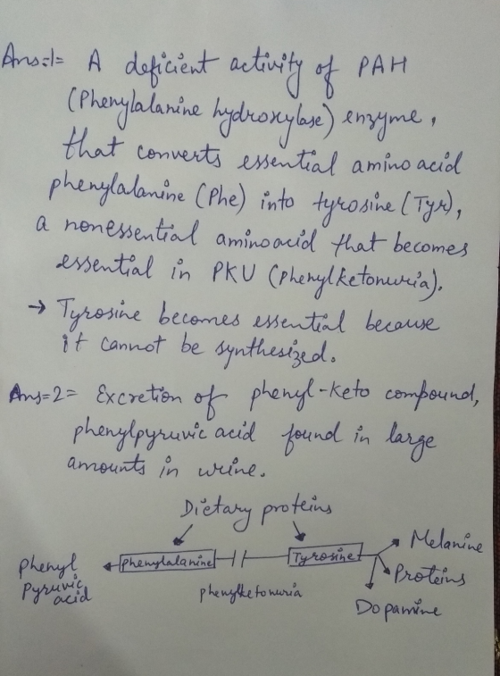 Ansel- A deficient activity of PAH (Phenylalanine hydroxylase) enzyme, that converts essential amino acid phenylalanine (Phe)