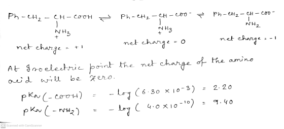 Ph-CH2 CH-cooH Ph-CH₂-CH-coo- T Ph-CH2-CH-coo- - NH2 NH3 NH₃ + net charge ti net charge=0 charge the net of the amino net cha