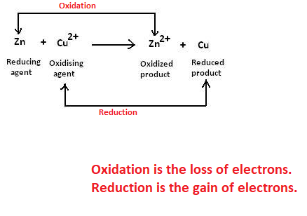 Oxidation Zn + 2+ Cu スカル + Reducing Oxidising agent agent Oxidized product Cu Reduced product Reduction Oxidation is the loss