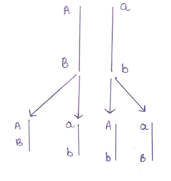 A a b А a A a B i će b b