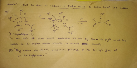 Solution : First we draw the mechanism of Enolose reaction to under stand this problem. Ma Mg Poz- ------ 0 1 H Mgt? PO2- POR