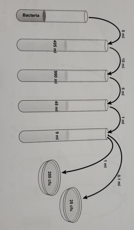5 ml 10 ml 5 ml 1 ml 0.1 ml 1 ml - 25 cfu 495 ml 990 ml 9 ml 45 ml 200 cfu Bacteria Bacteria