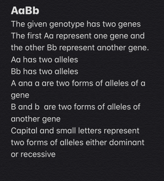 AaBb The given genotype has two genes The first Aa represent one gene and the other Bb represent another gene. Aa has two all