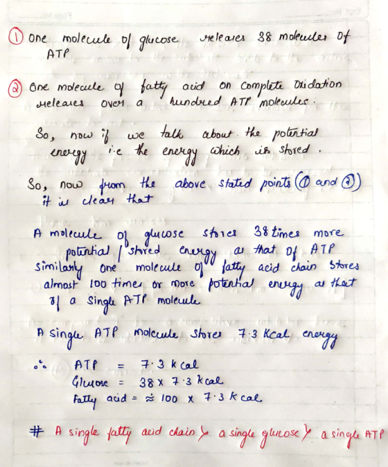 O one molecule ol glucose one leaves 38 moleules Of - ATP @ One molecule of fatty acid on complete Oxidation Meleares over a