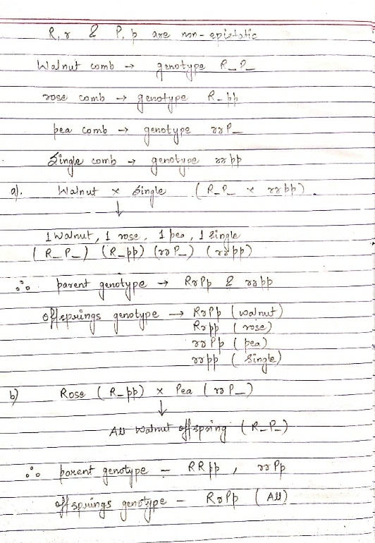 lg 2 Pb are non-epistatic Walnut comb a genotype fu? Dose comb - genotype Robb pea comb genotype ropa Lingle comb genotune so