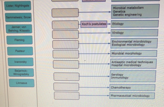 Lister; Nightingale Microbial metabolism Genetics Genetic engineering Semmelweis; Snow Kochs postulates Etiology Jenner; von