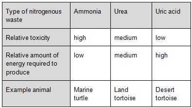 Ammonia Urea Uric acid Type of nitrogenous waste Relative toxicity high medium low low medium high Relative amount of energy
