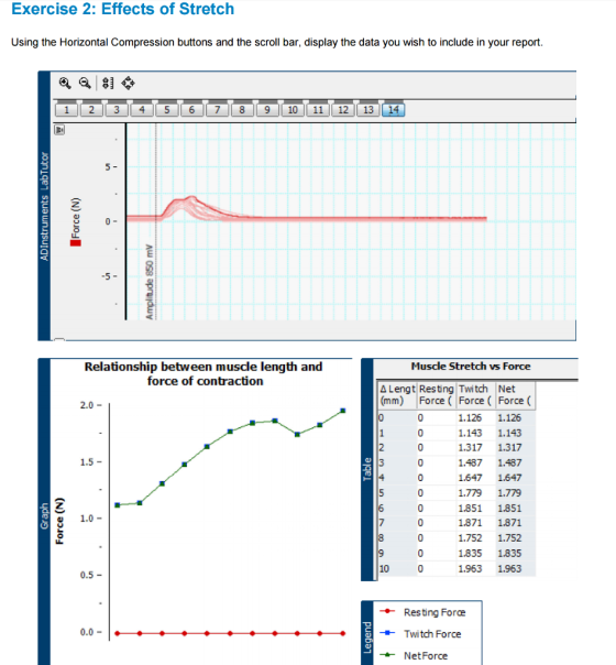Exercise 2: Effects of Stretch Using the Horizontal Compression buttons and the scroll bar, display the data you wish to include in your report. 1 2 3 4 5 6 7 8 9 10 11 12 13 14 Relationship between muscle length and Muscle Stretch vs Force force of contraction A Lengt Resting Twitch Net (mm) Force Force Force 2.0 1.126 1.126 1.143 1.143 1.317 1.317 1.5 1.487 1.487 1.647 1,647 1.779 1.779 1,851 1.851 1.0 1.871 1.871 1.752 1.752 1.835 1.835 1.963 1.963 0.5 Resting Force 0.0 -H- Twitch Force Net Force