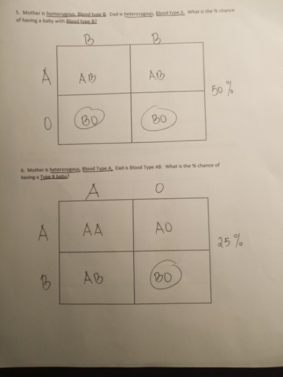 mothuous Bloedturen Bload tvpe B2 Dda Dad is heterozygous, Etoodtypth what is the % chance of having a baby with Blod ivaes E