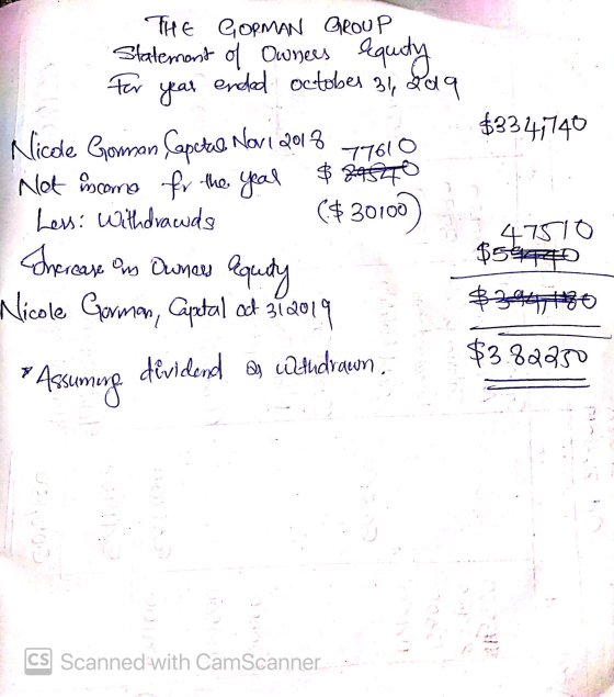 7761 THE Copman GROUP Statement of Owners equity For year ended october 31, 209 $3341740 Nicde Goman Capstad Novi 2013 Not in