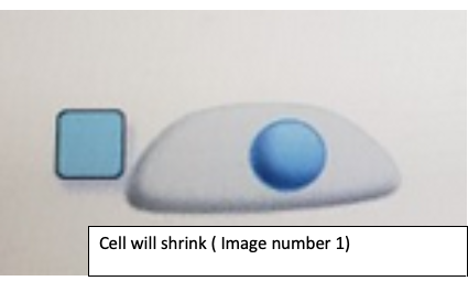 Cell will shrink ( Image number 1)