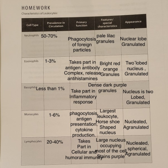 HOMEWORK Characteristics of Leukocytes: Appearance Features/ special characteristics Prevalence in Circulation Cell Type Prim