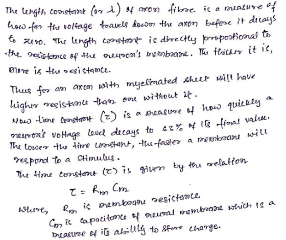 The length constant (or l) of aron fibre is a measure of how fejn the voltage foavels dowor the axon before it decays to zero