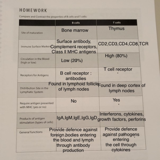 HOMEWORK Compare and Contrast the properties of B cells and T cells: B cells T cells Bone marrow Thymus Site of maturation Su