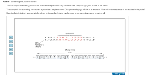 Image for Part D - Screening the plasmid library The final step of the cloning procedure is to screen the plasmid libr