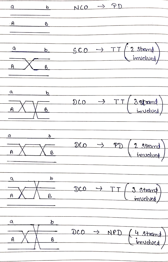 NCO > PD - SCO II | 2 Steamp t involved — DLO II/ 3 strand I l involved, Dco y I 2 Strand į involved / - DCO III 3 Strand I i