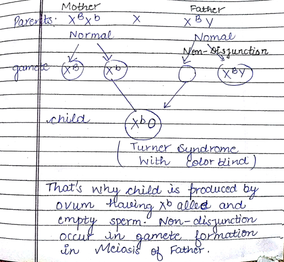 Мobier Pather Larents Xxb Normal X Nomal ln3unctian XBy child Turner Syndrome Eolor bind With Thats why Ovum Hausing b allae