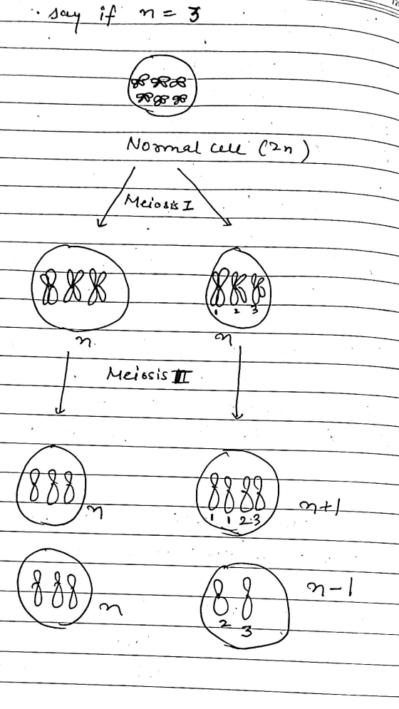 say if ne = 3 1988 We Tued. m poweon Meiosis I XXX ⓇKY n. m Meissis I 888 18888 بما Itlo i 2-3 888 1-10