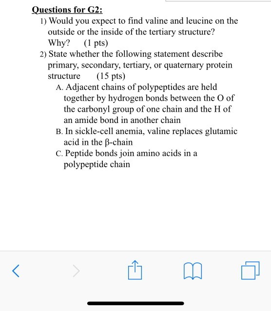 Questions for G2: 1) Would you expect to find valine and leucine on the outside or the inside of the tertiary structure? Why?