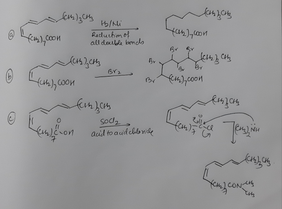 fah)0on Reduchanot all deuble bomcs BY BY BY Len),con BY2 Soc2 acid to auid chb nide NH nJeon CONR