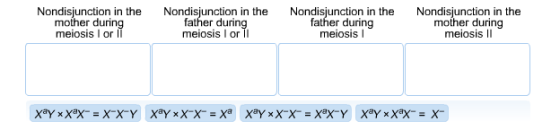 Nondisjunction in the mother during meiosis I or I Nondisjunction in the father during meiosis I or II Nondisjunction in the father during meiosis I Nondisjunction in the mother during meiosis lI