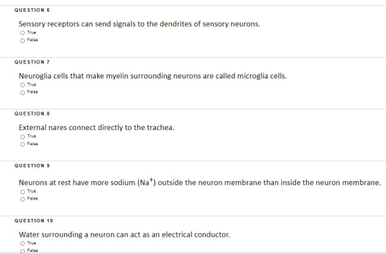 QUESTION 6 Sensory receptors can send signals to the dendrites of sensory neurons. True False QUESTION 7 Neuroglia cells that