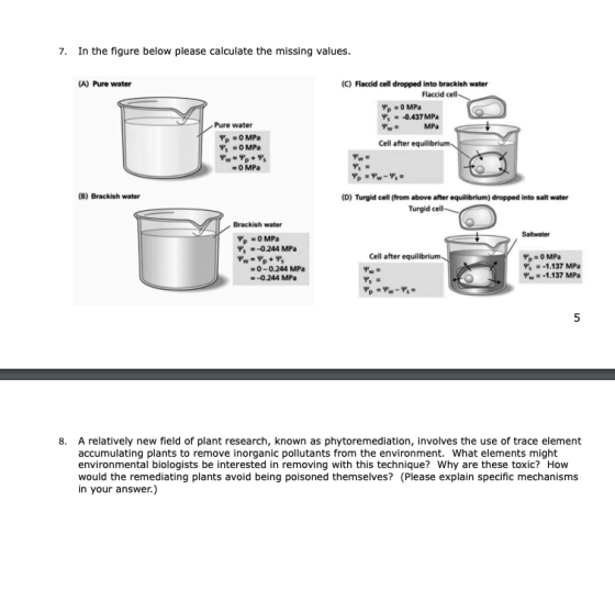 7. In the figure below please calculate the missing values. (A) Pure water Pure water Y=0 MPa Y = 0 MPa ww-Y+Y = 0 MPa (C) Fl